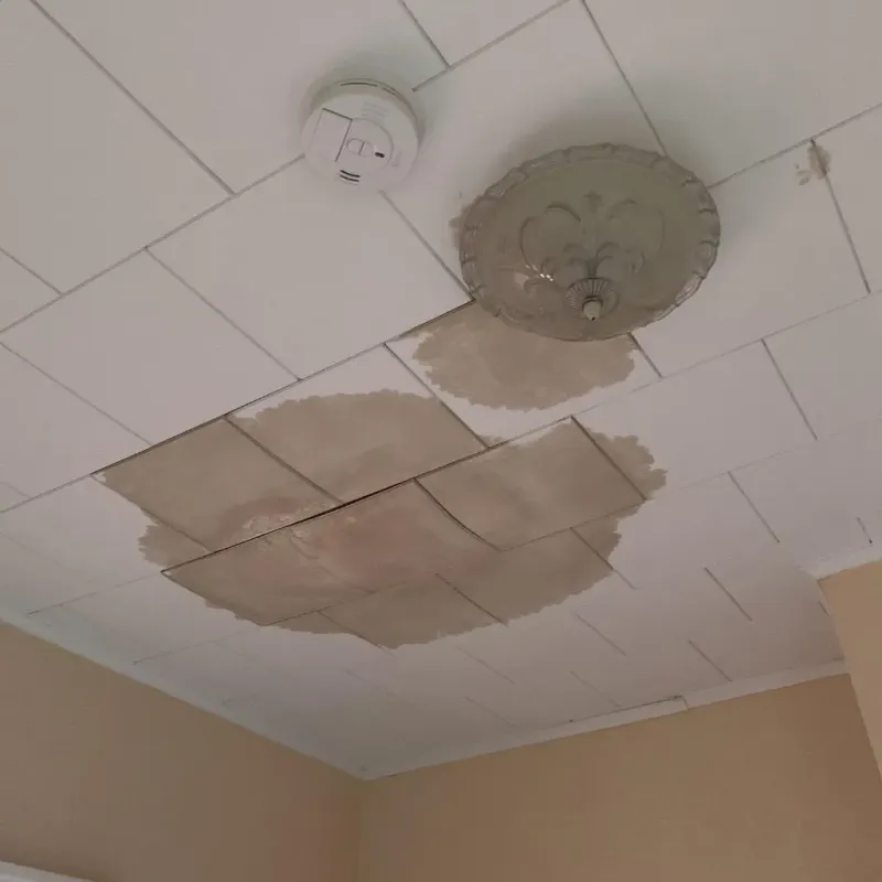 Ceiling Water Damage Repair in Holstein, IA