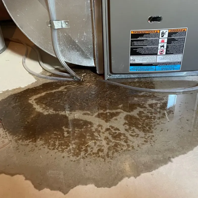 Pipe Burst and Leak Restoration in Holstein, IA