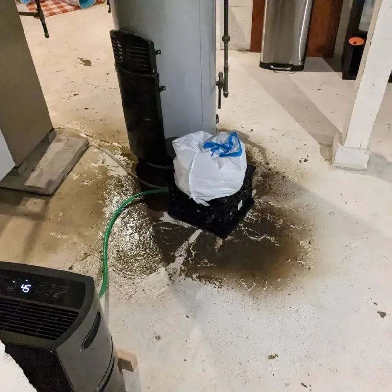 Sewage Backup Cleanup Service in Holstein, IA